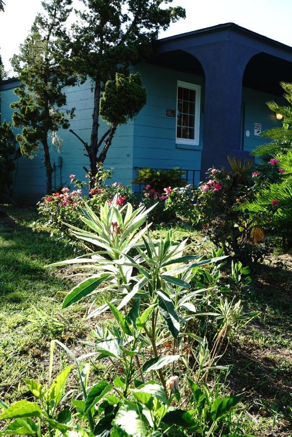 Inn On 17 Savannah Luaran gambar